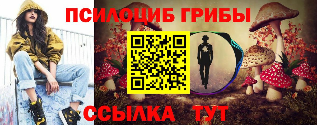 Новый Уренгой  Псилоцибиновые грибы прущие грибы  Псилоцибиновые грибы мицелий  Вход с VPN 